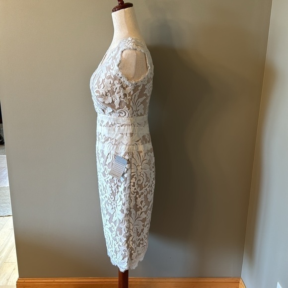Tadashi Shoji Ivory and Nude Lace Cocktail Dress Women's Size 4 - Picture 6 of 16